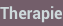 shapeimage_2_link_0